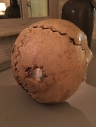 Grote Anatomische Schedel - Gietijzer - White-Rust